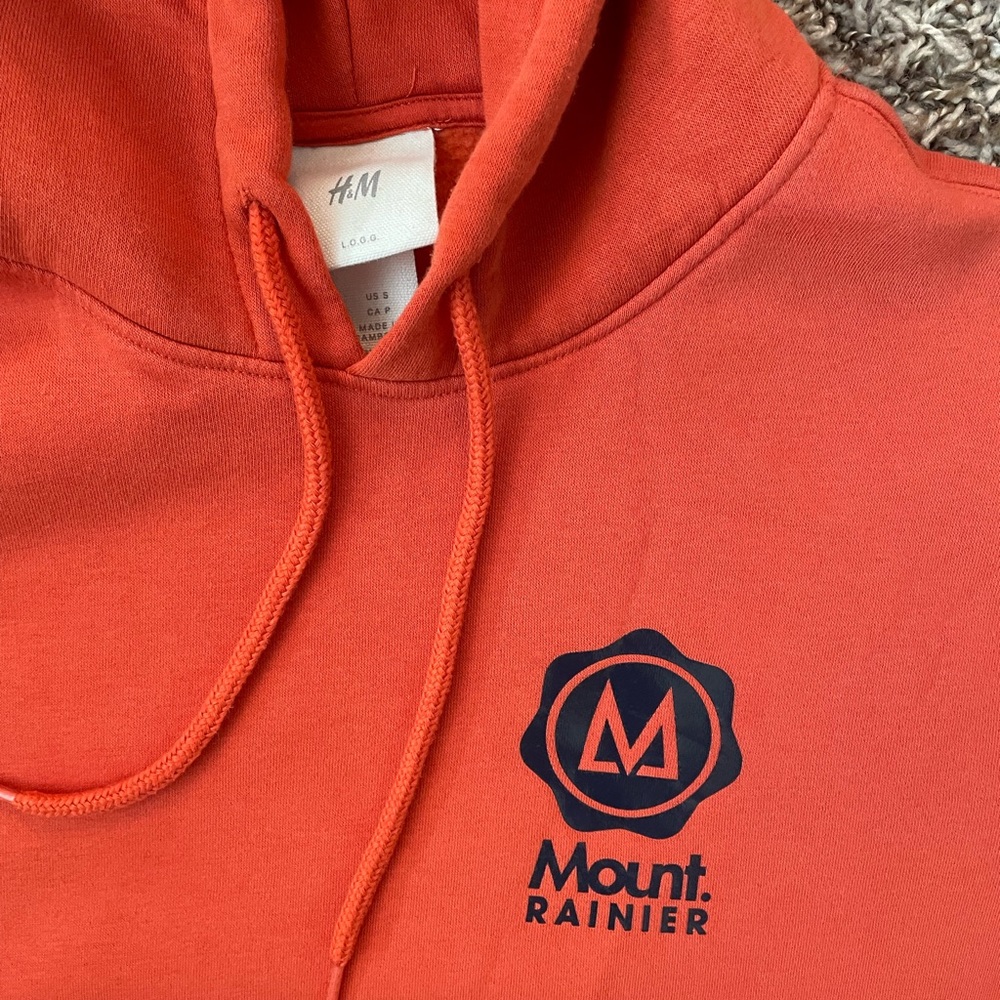 H&M Mount Rainer hoodie - Picture 7 of 11
